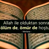 a.selam_48_48_