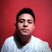 suara asli - ☞ Ey Pulu Pinga ☜