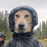 оригинальный звук - casey edits