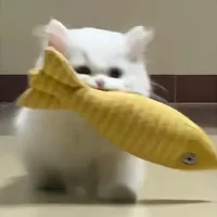 original sound - boganh227