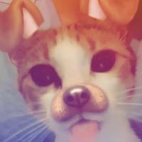 On the floor .Instrumental