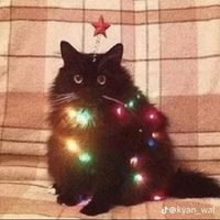 yeyaeg