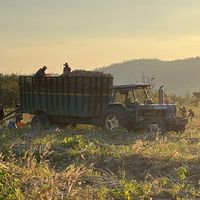 nhạc nền - Anh grap pleiku✌️✌️