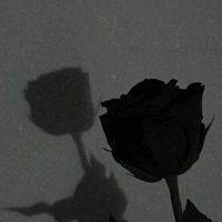 zpt..eslyen