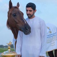 sheikh.hamdan.fanspage