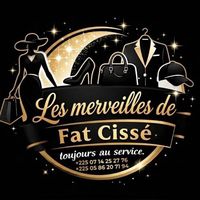 lesmerveillesdefatcisse