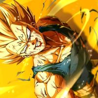 vegeta94593
