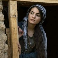 shahsawa956