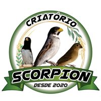 scorpion.desde.2020