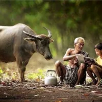 original sound - ahrompit62773