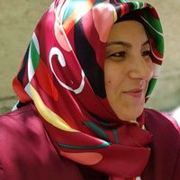 aynursariyerli