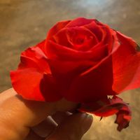 rosita.galdames