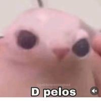 daniela_ortegaxdxdozi