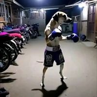 toni_1414