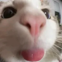 original sound - abcde1_123451