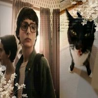 оригинальный звук