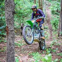 เสียงต้นฉบับ - ตาหมี 99