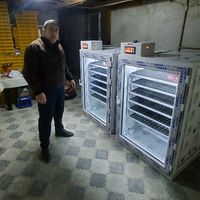 inkubator_adil_usta