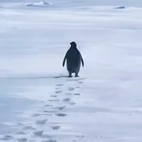 original sound - enesdoksanbes