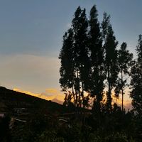 lina.ang_01