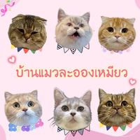 laoong_meaw