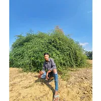 original sound - mgthantzino0