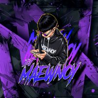 แมว น้อย