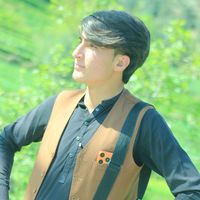 hamzajani684