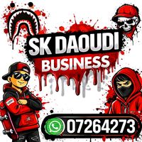 sk.daoudi.cfa.226