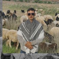 mustafaaytekin27