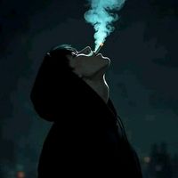 honey_bear3108_
