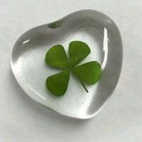 ส่งในเน้