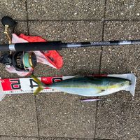 daiwa1188