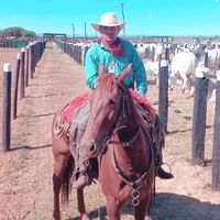 mauriciobarbosa255