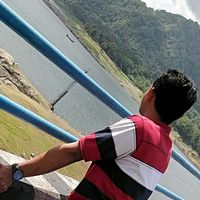 yuudai208