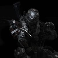noblehalor