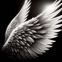 imallyourshiroandmegu