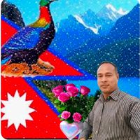 harigopalshrestha8