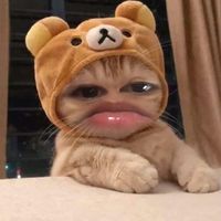 nhạc nền - 『Thanh Loan』ʕ˖͜͡˖ʔ