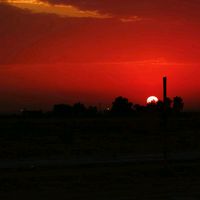 الصوت الأصلي