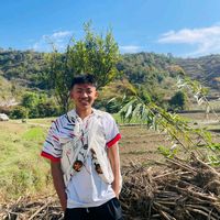 milannyff