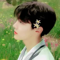 original sound - army0908032