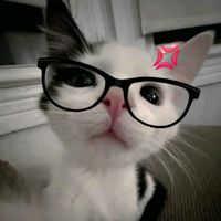 swagcat90