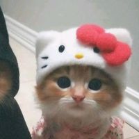 _pikly_
