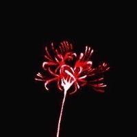 オリジナル楽曲 - 弌誠