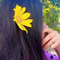 hima_status_4