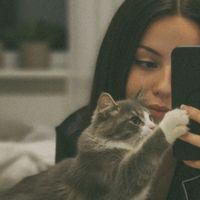 alaca_karanlik_999