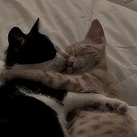 original sound - spoty_e