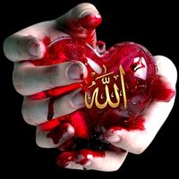 iloveyouallah743