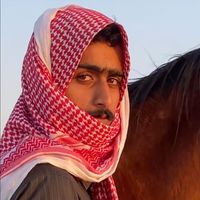 الصوت الأصلي
